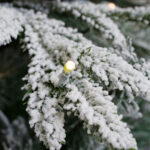 180cm Flocked Christmas Tree - Image 4