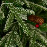 Frosted Tips Artificial  Christmas Tree with Pine Cone, Red Berry - Image 3