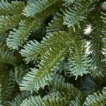 New Nobeson Large Christmas Tree Two Color Gradient Pure PE Crypto Home Christmas Ornaments Bare Tree - 图片 2