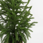 Artificial Christmas Tree in a Wicker Basket - Image 2