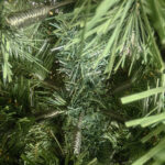White PE&PVC Artficial Christmas Tree Unlit - Image 3